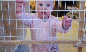 Francken opent zwaar beveiligd detentiecentrum voor gevaarlijkste illegale kinderen