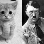 10 dingen die totaal niet op Hitler lijken