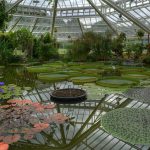 N-VA Eist Splitsing Nationale Plantentuin