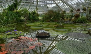 N-VA Eist Splitsing Nationale Plantentuin