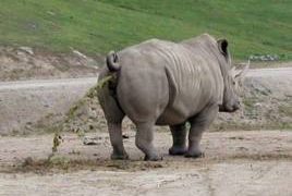 Griepvirus treft ook zoo Antwerpen