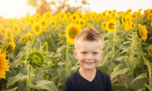 Kinderdrieslagstelsel vervangt kinderbijslag