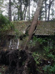 De nietsontziende herfststorm vernielde zelfs een schuur bij Lieven Scheire.