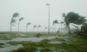 Klap voor wereldeconomie: orkaan Dorian vernietigt hoofdkantoren multinationals