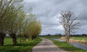 Man (54) bezoekt broer te Waregem