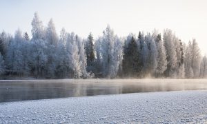 Killere samenleving wordt hoeksteen ambitieus Vlaams klimaatplan